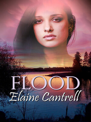 cover image of Flood